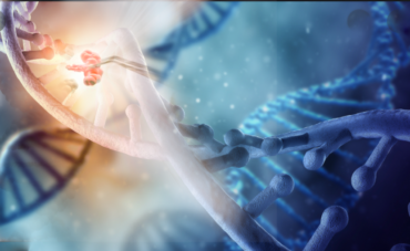 Testarea genetică în cancerele ereditare comune